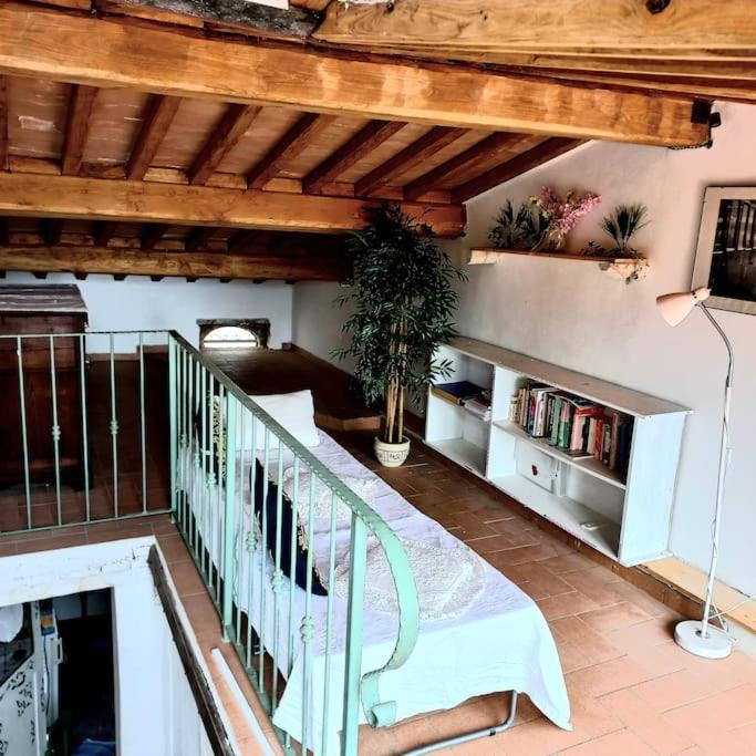 La Casa Del Gallo Radicondoli Buitenkant foto