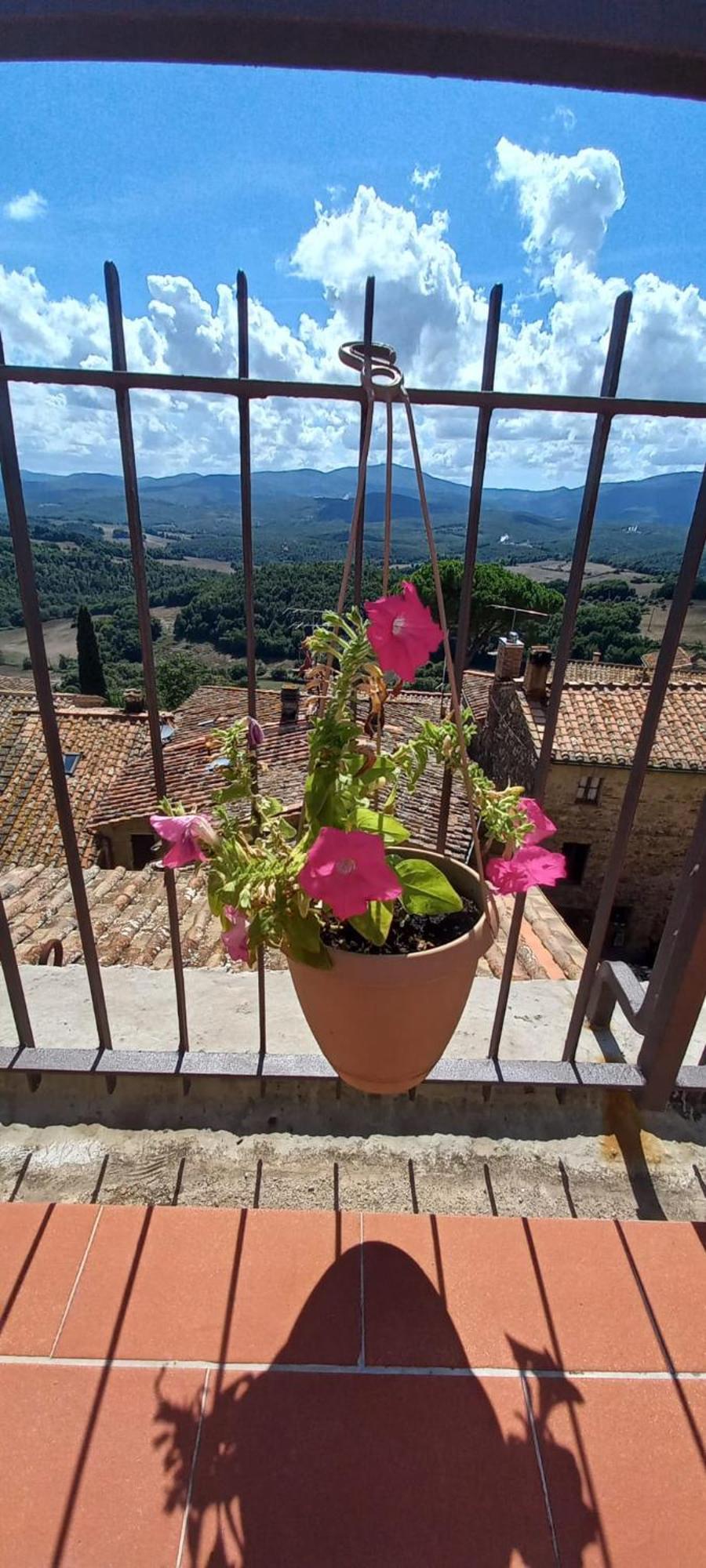 La Casa Del Gallo Radicondoli Buitenkant foto