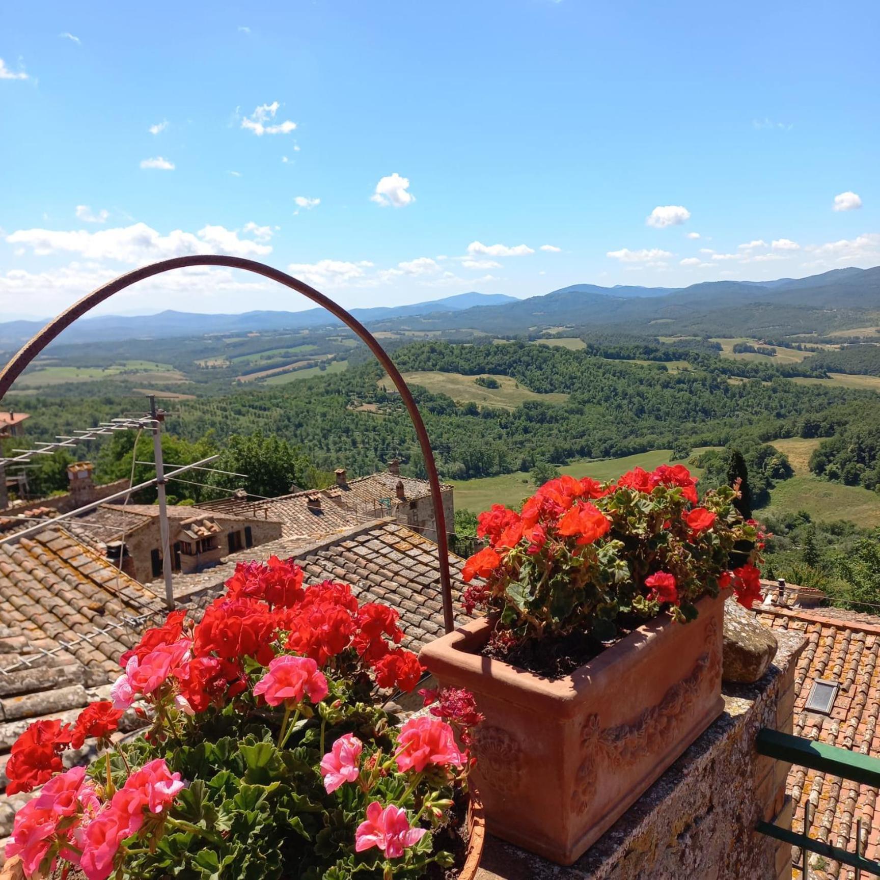 La Casa Del Gallo Radicondoli Buitenkant foto